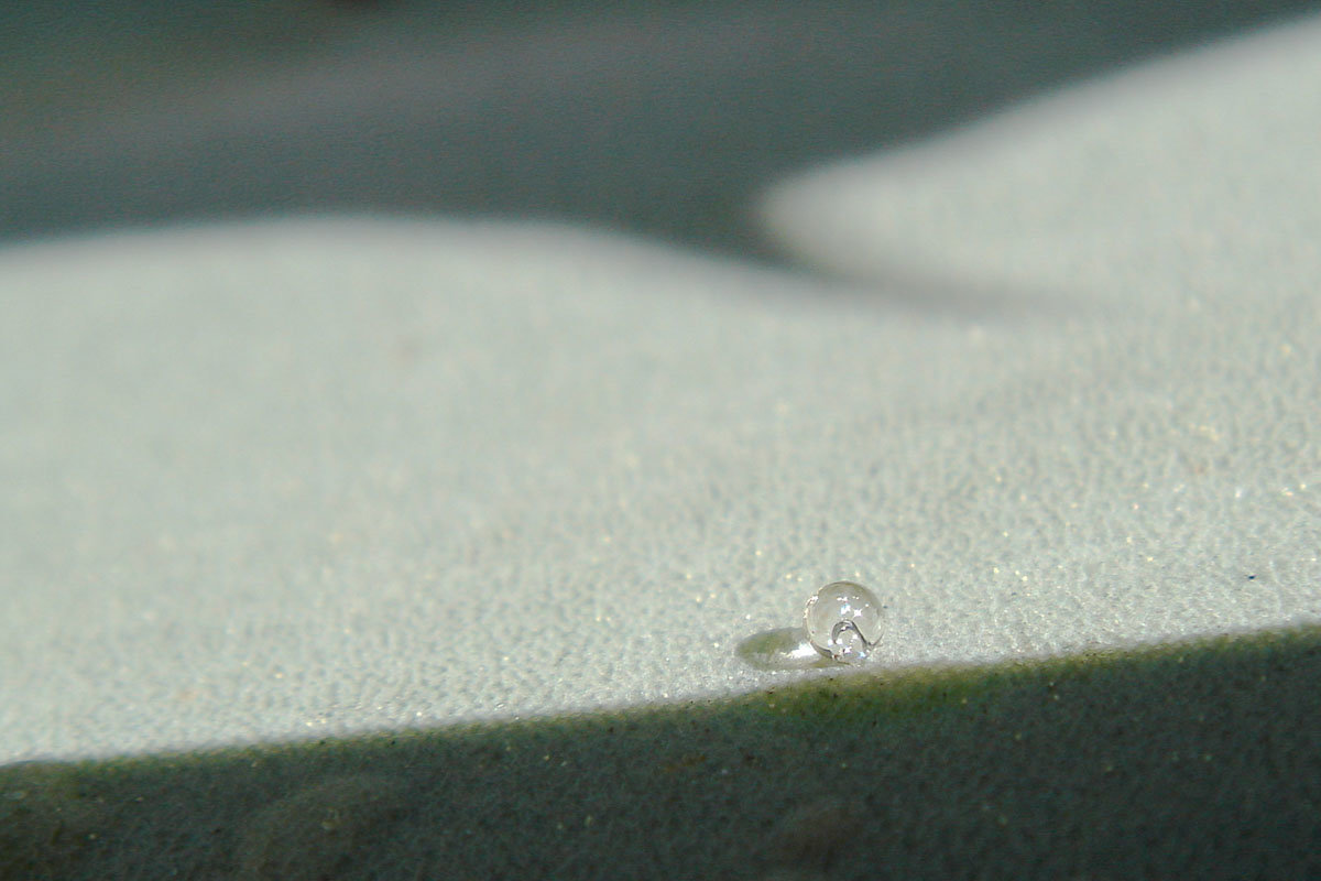 Emelle Gastaldi, explorations