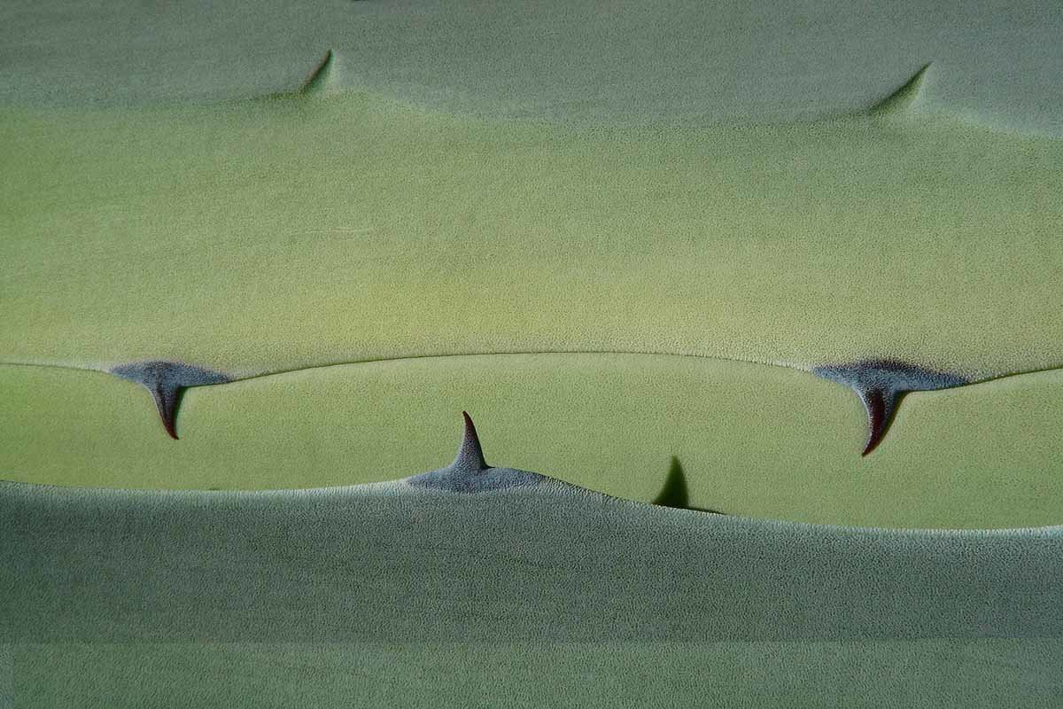 Emelle Gastaldi, explorations