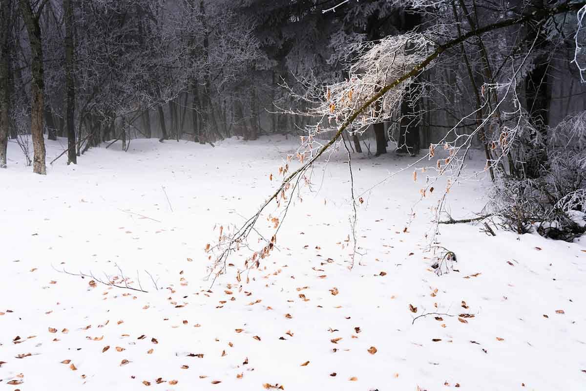 Jean-Luc Gauthier, col de Vence, Isère, 2021
