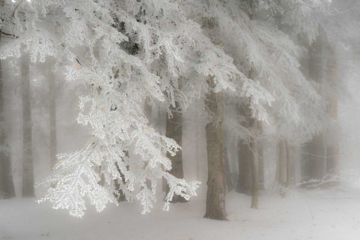 Jean-Luc Gauthier, col de Vence, Isère, 2021