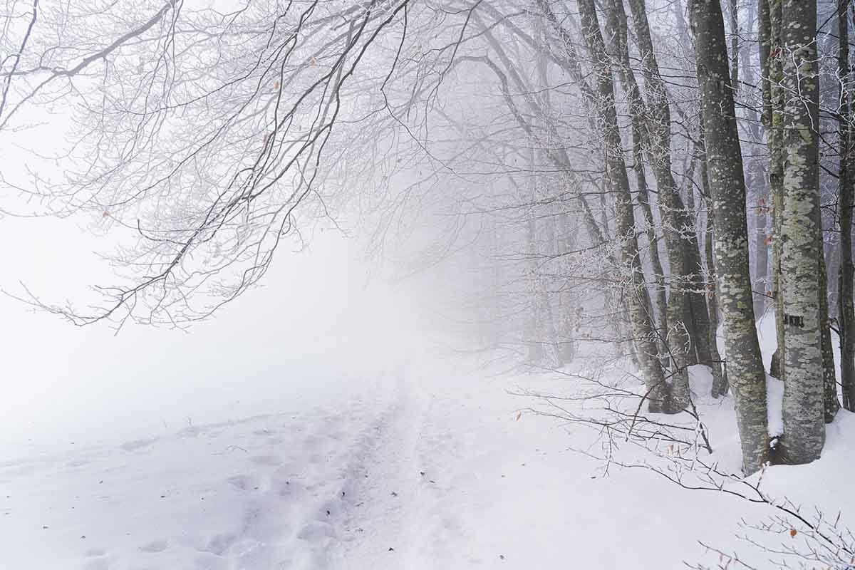 Jean-Luc Gauthier, col de Vence, Isère, 2021