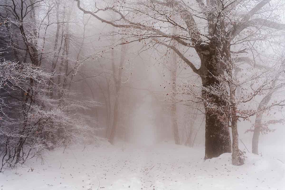 Jean-Luc Gauthier, col de Vence, Isère, 2021