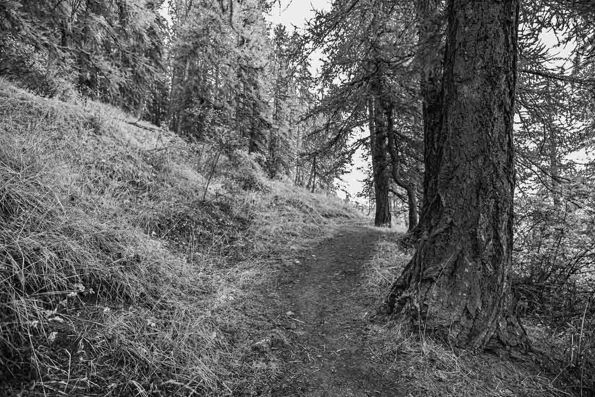 Olivier Boulay, chemins