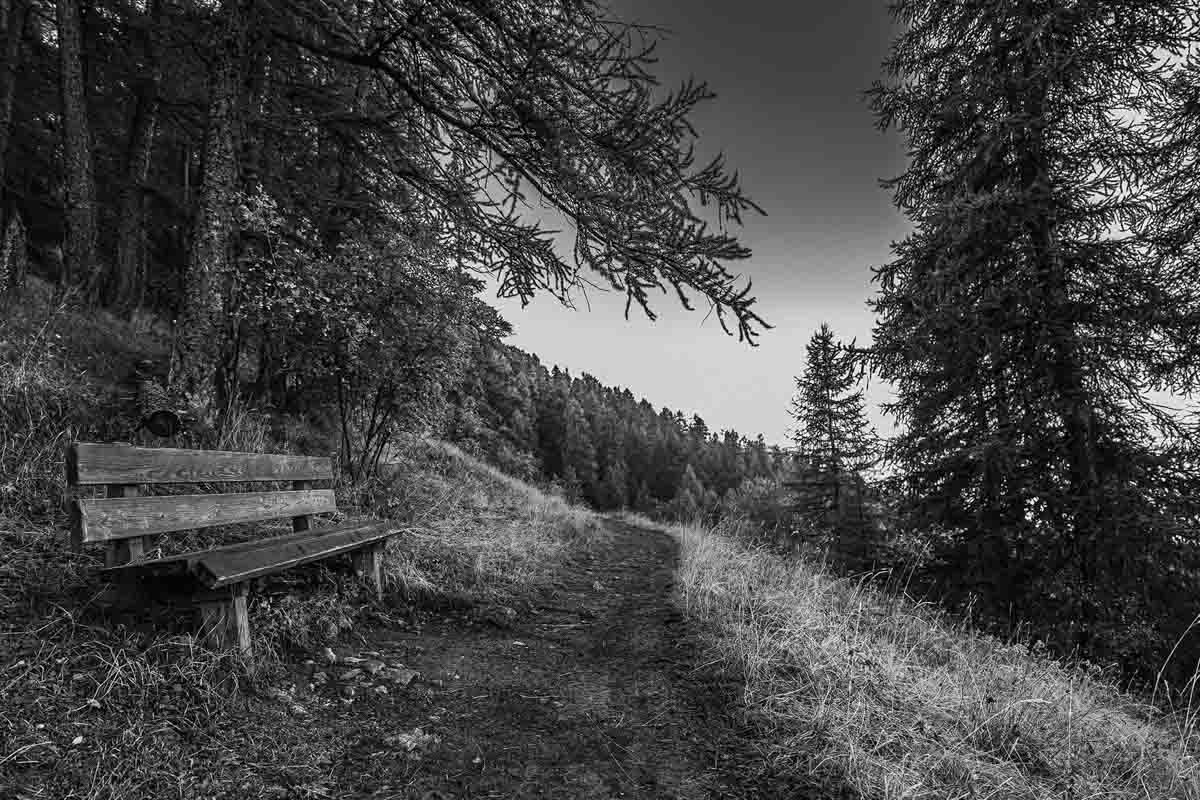 Olivier Boulay, chemins