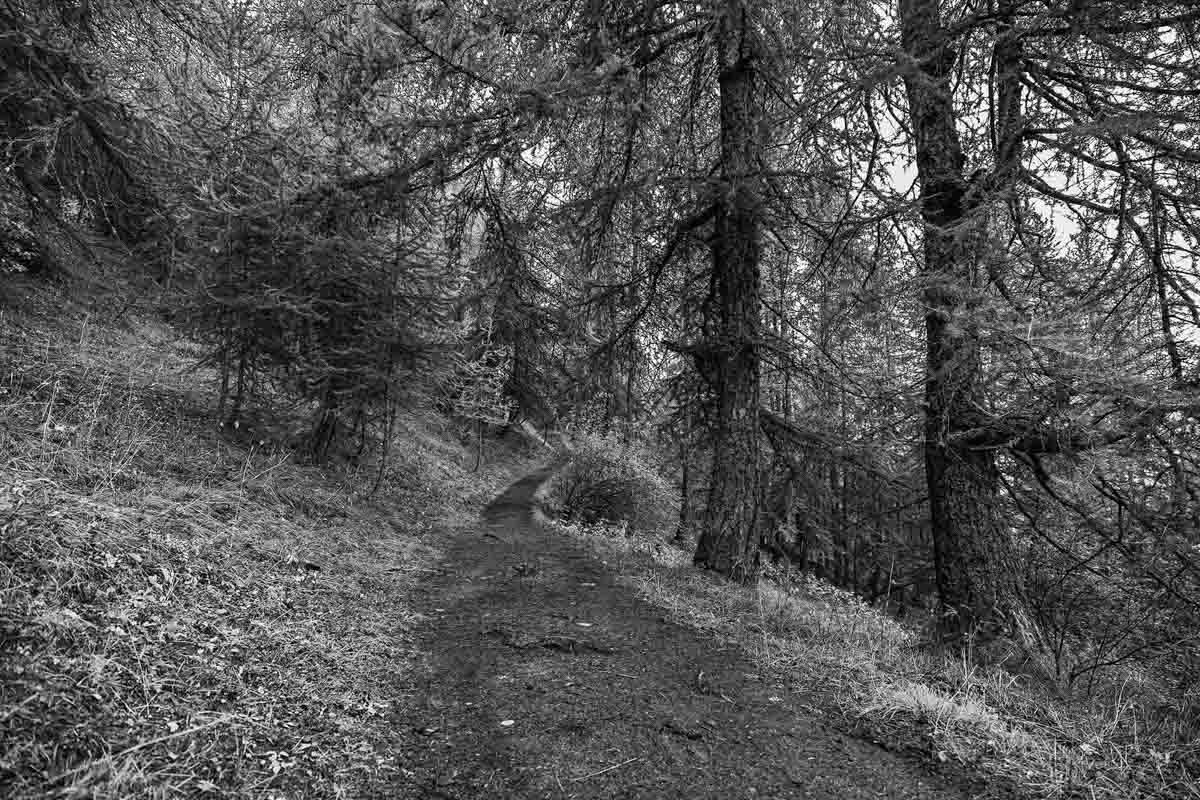 Olivier Boulay, chemins