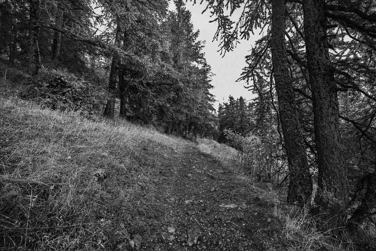 Olivier Boulay, chemins