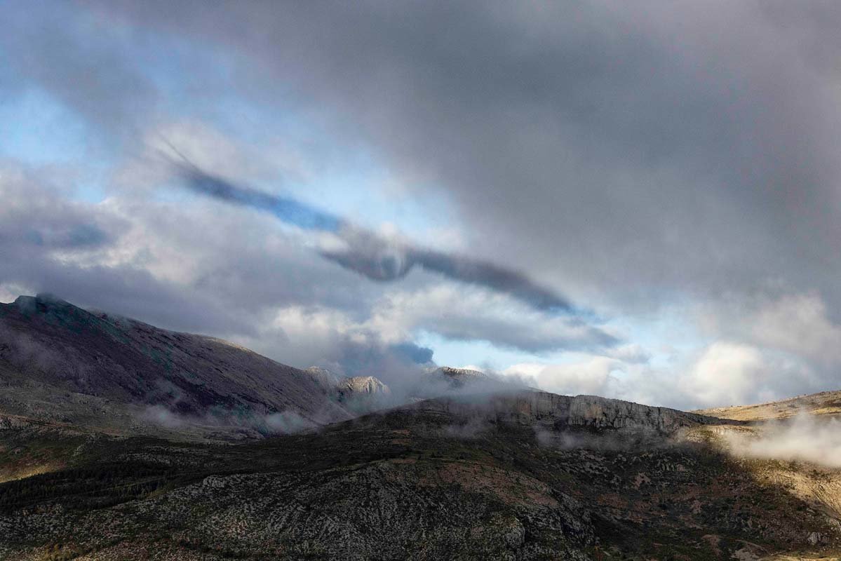 Philippe Galazzo, vautour fauve