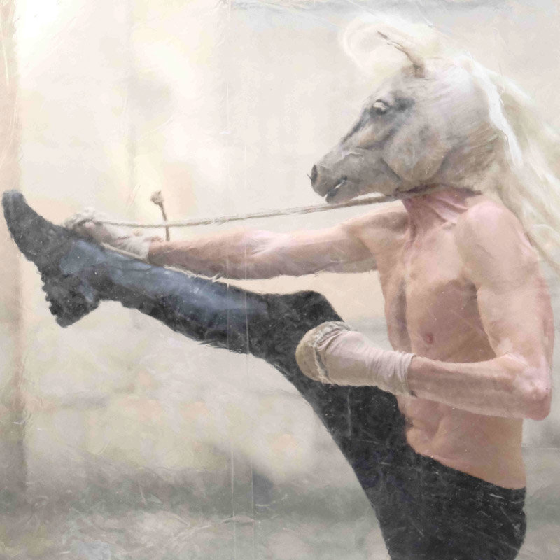 Rémi Tourneir, ruades vers la liberté