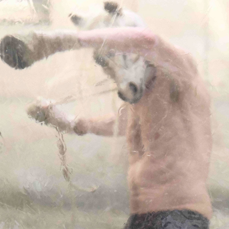 Rémi Tourneir, ruades vers la liberté