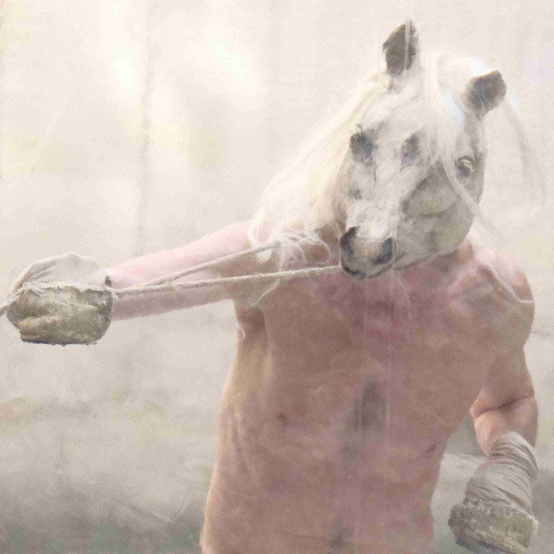 Rémi Tourneir, ruades vers la liberté