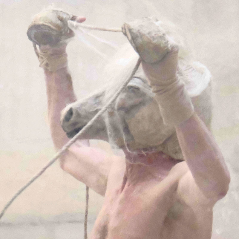 Rémi Tourneir, ruades vers la liberté