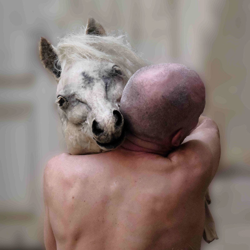Rémi Tourneir, ruades vers la liberté