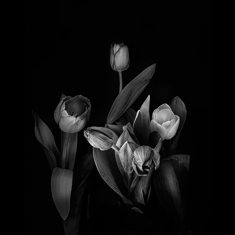 Tiago Ribeiro de Carvalho