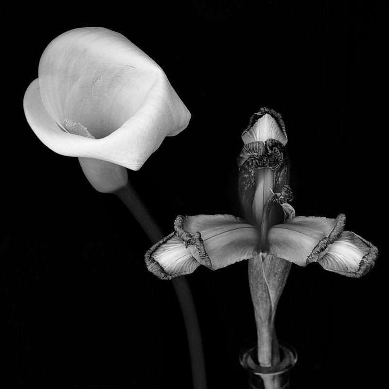 Tiago Ribeiro de Carvalho