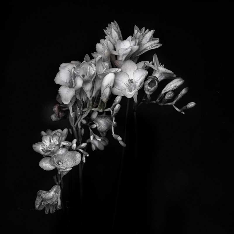 Tiago Ribeiro de Carvalho