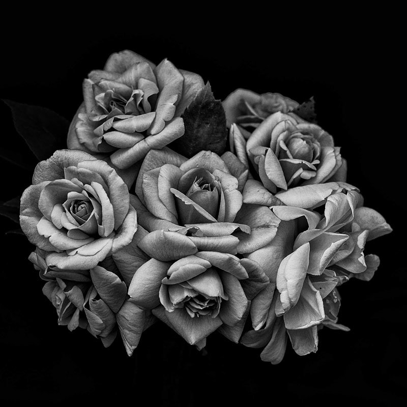 Tiago Ribeiro de Carvalho