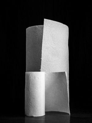 Kathleen Mazzocco - Objet Quotidien-toilet Paper Roll, Paper Towel, Still Life, Confinement, Covid-19