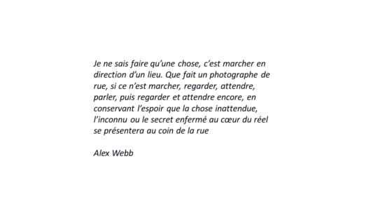Alex Webb